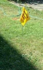 Evidence flag