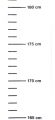 Measuring_Strip_prisonerA1_sml Measuring_Strip_prisonerA1_sml