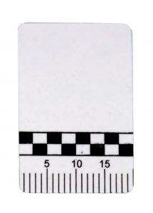 6 inch White Photo Evidence Scales, Forensic Measurement, Forensic  Supplies